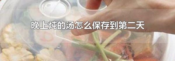 晚上炖的汤怎么保存到第二天