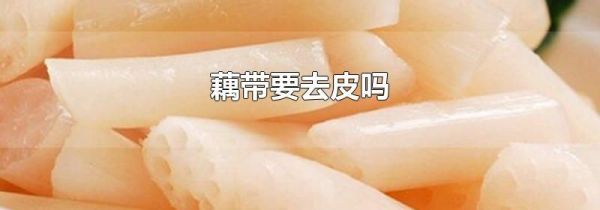 藕带要去皮吗