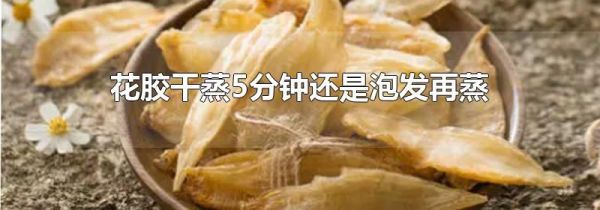 花胶干蒸5分钟还是泡发再蒸