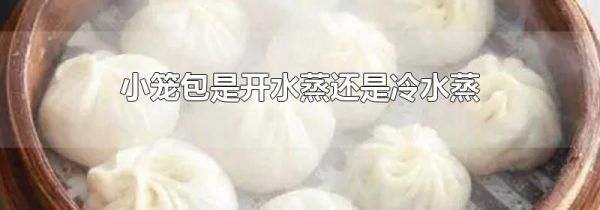 小笼包是开水蒸还是冷水蒸