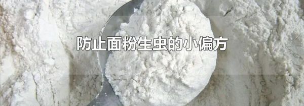 防止面粉生虫的小偏方