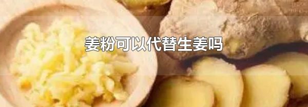 姜粉可以代替生姜吗