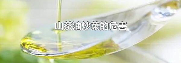 山茶油炒菜的危害