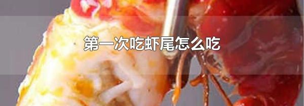 第一次吃虾尾怎么吃