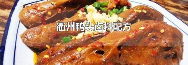 衢州鸭头卤料配方