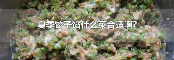 夏季饺子馅什么菜合适啊?