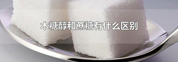 木糖醇和蔗糖有什么区别