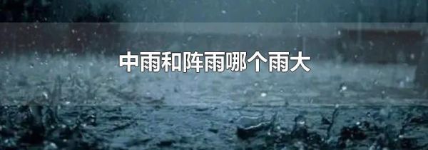 中雨和阵雨哪个雨大