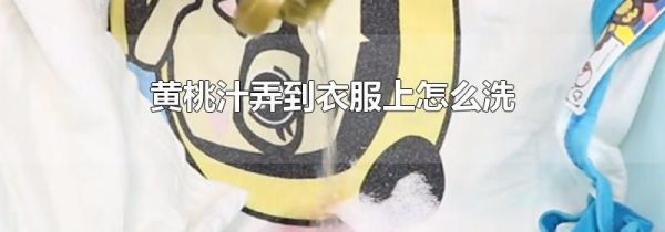 黄桃汁弄到衣服上怎么洗