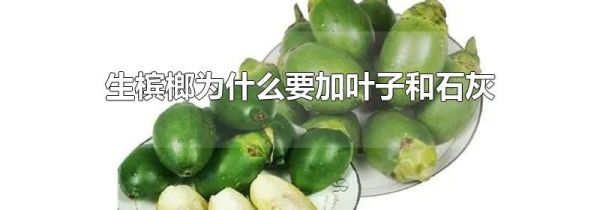 生槟榔为什么要加叶子和石灰