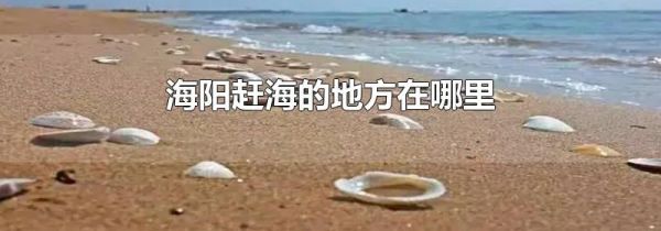 海阳赶海的地方在哪里