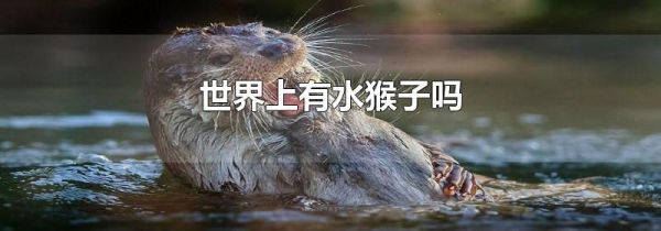 世界上有水猴子吗