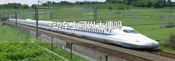 动车上可以大便吗