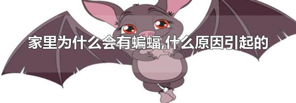 家里为什么会有蝙蝠,什么原因引起的