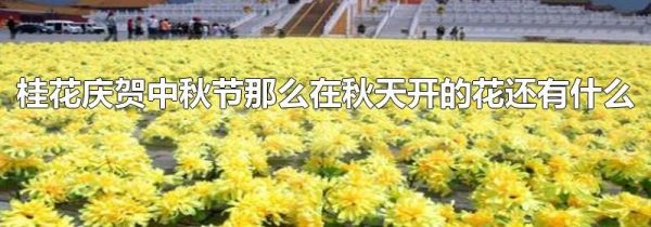 桂花庆贺中秋节那么在秋天开的花还有什么