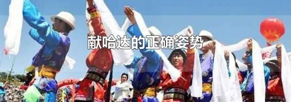 献哈达的正确姿势