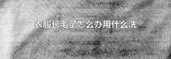 衣服长毛了怎么办用什么洗