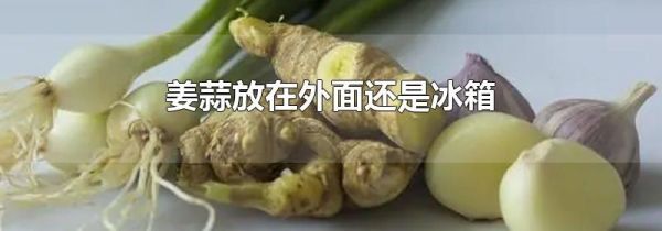 姜蒜放在外面还是冰箱