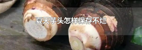 夏天芋头怎样保存不烂