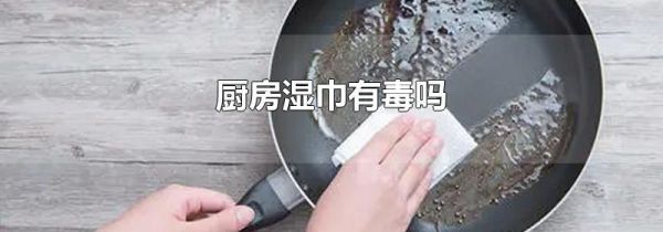 厨房湿巾有毒吗