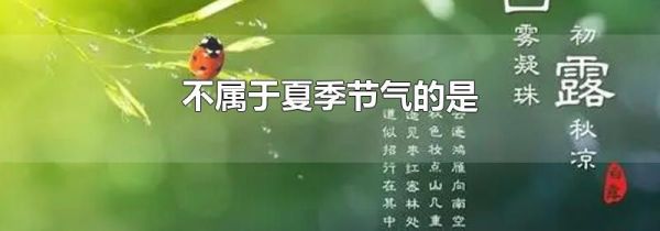 不属于夏季节气的是