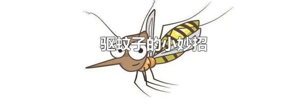 驱蚊子的小妙招