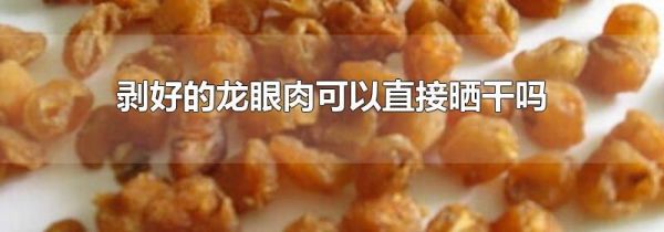 剥好的龙眼肉可以直接晒干吗