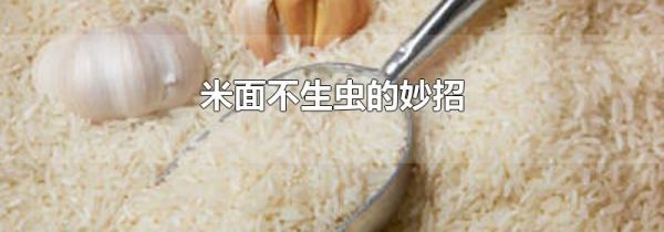 米面不生虫的妙招