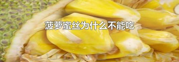 菠萝蜜丝为什么不能吃