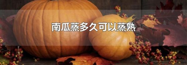 南瓜蒸多久可以蒸熟