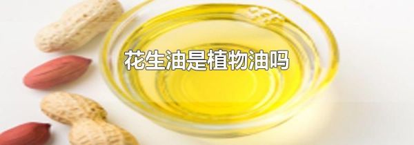 花生油是植物油吗