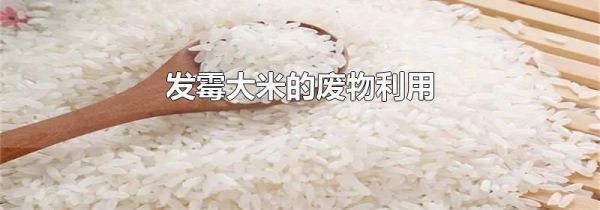 发霉大米的废物利用