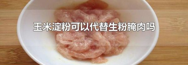 玉米淀粉可以代替生粉腌肉吗