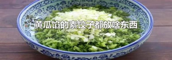 黄瓜馅的素饺子都放啥东西