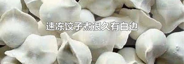 速冻饺子煮很久有白边