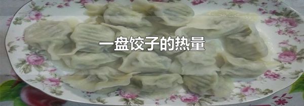 一盘饺子的热量