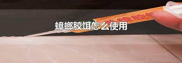 蟑螂胶饵怎么使用