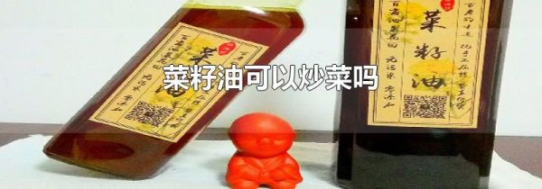 菜籽油可以炒菜吗