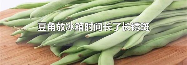 豆角放冰箱时间长了长锈斑