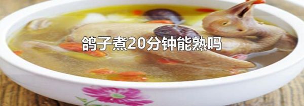 鸽子煮20分钟能熟吗