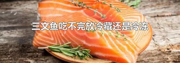 三文鱼吃不完放冷藏还是冷冻