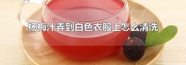 杨梅汁弄到白色衣服上怎么清洗