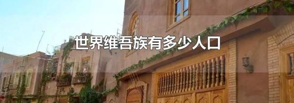 世界维吾族有多少人口