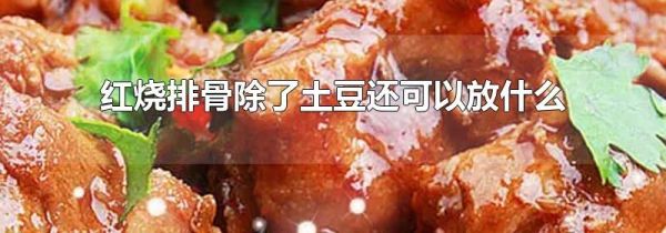 红烧排骨除了土豆还可以放什么