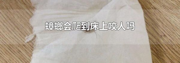 蟑螂会爬到床上咬人吗