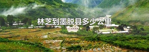 林芝到墨脱县多少公里
