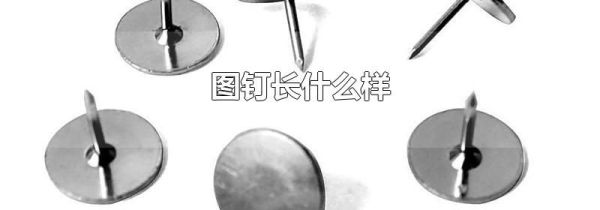 图钉长什么样
