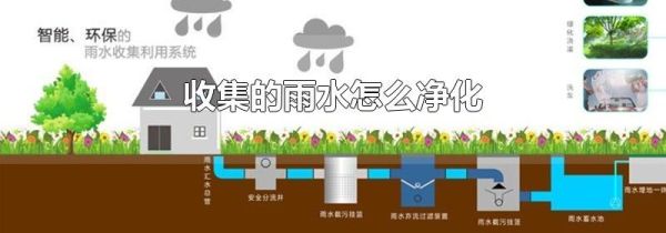 收集的雨水怎么净化