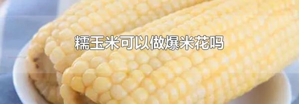 糯玉米可以做爆米花吗