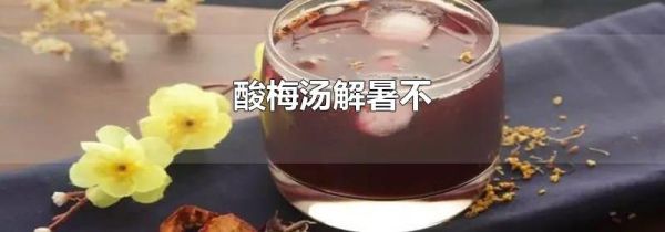 酸梅汤解暑不